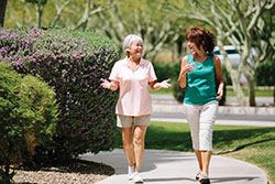 Perfect weather for afternoon walks