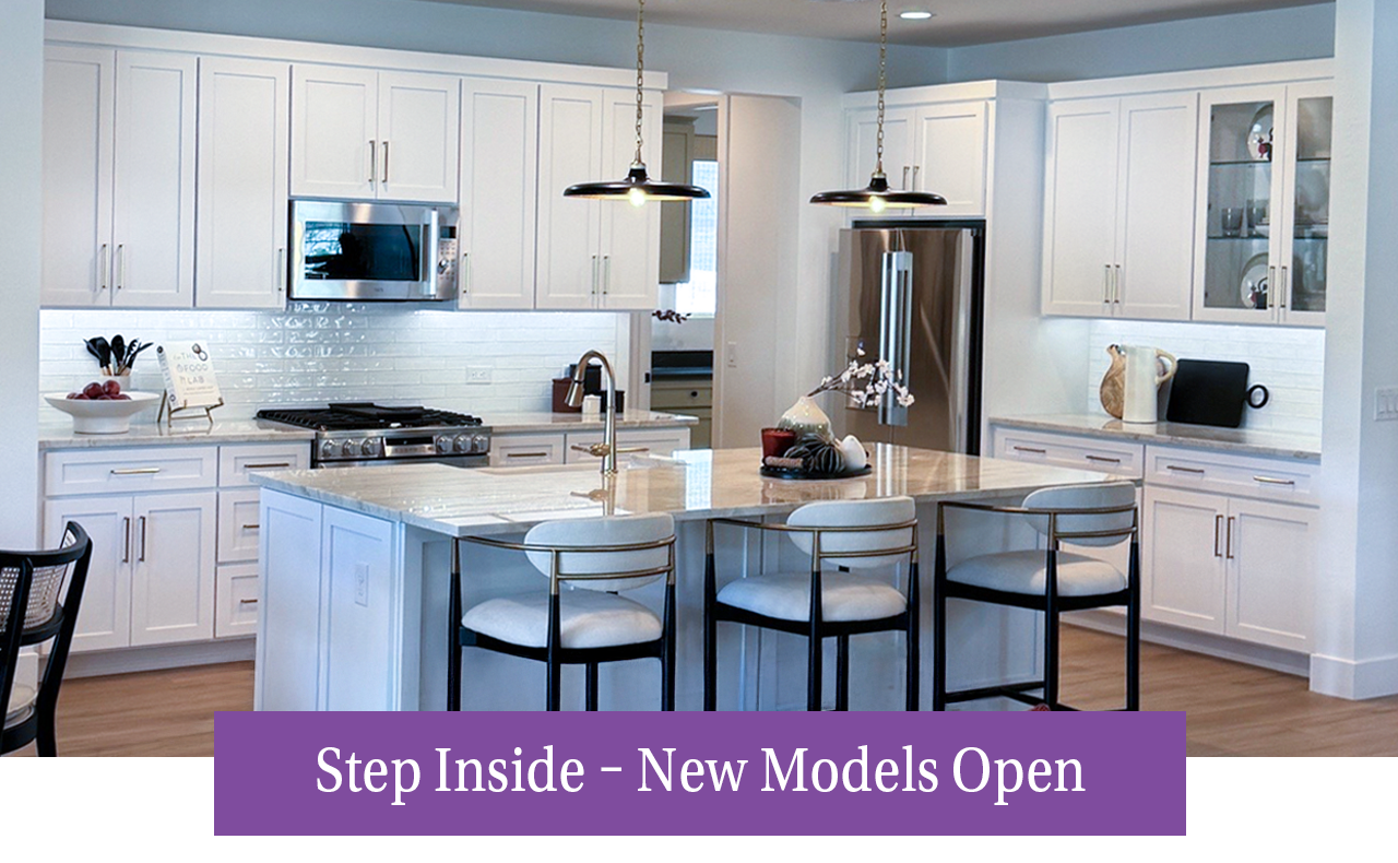 Oasis Series – New Models Open