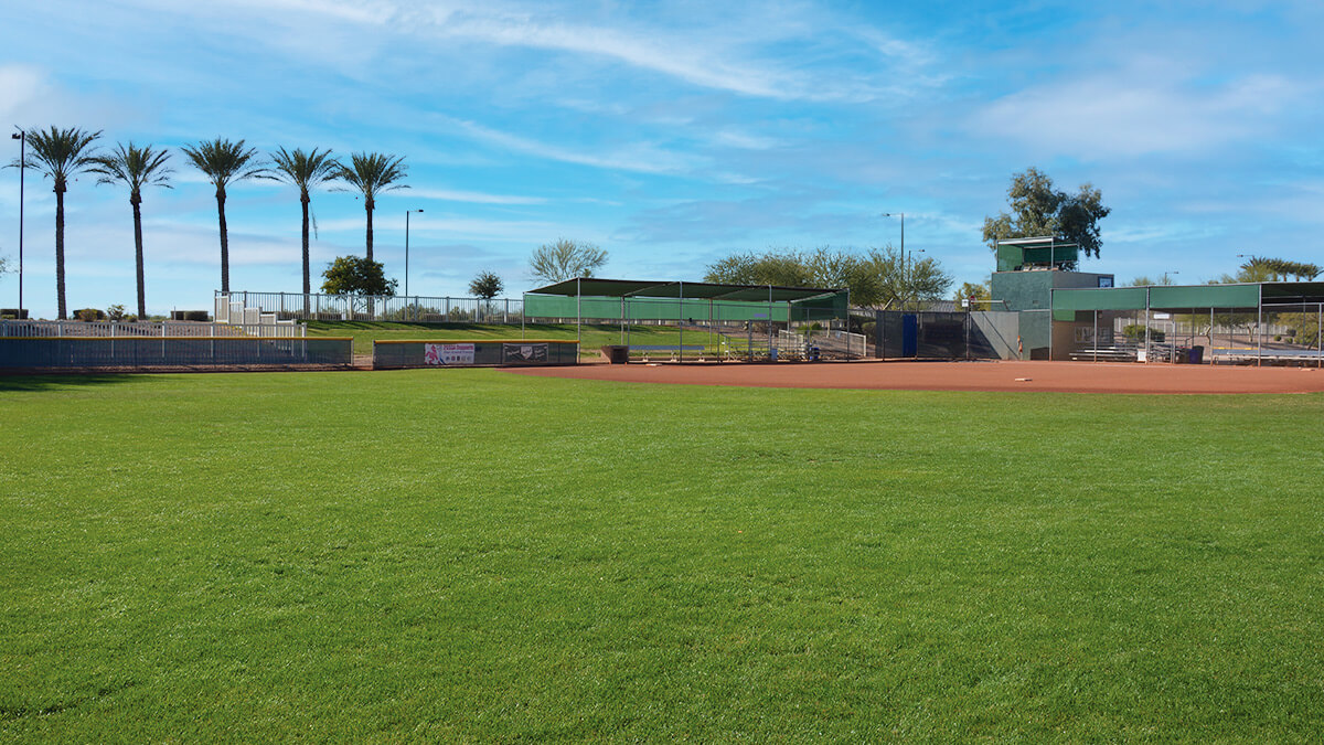 PC-SoftballField