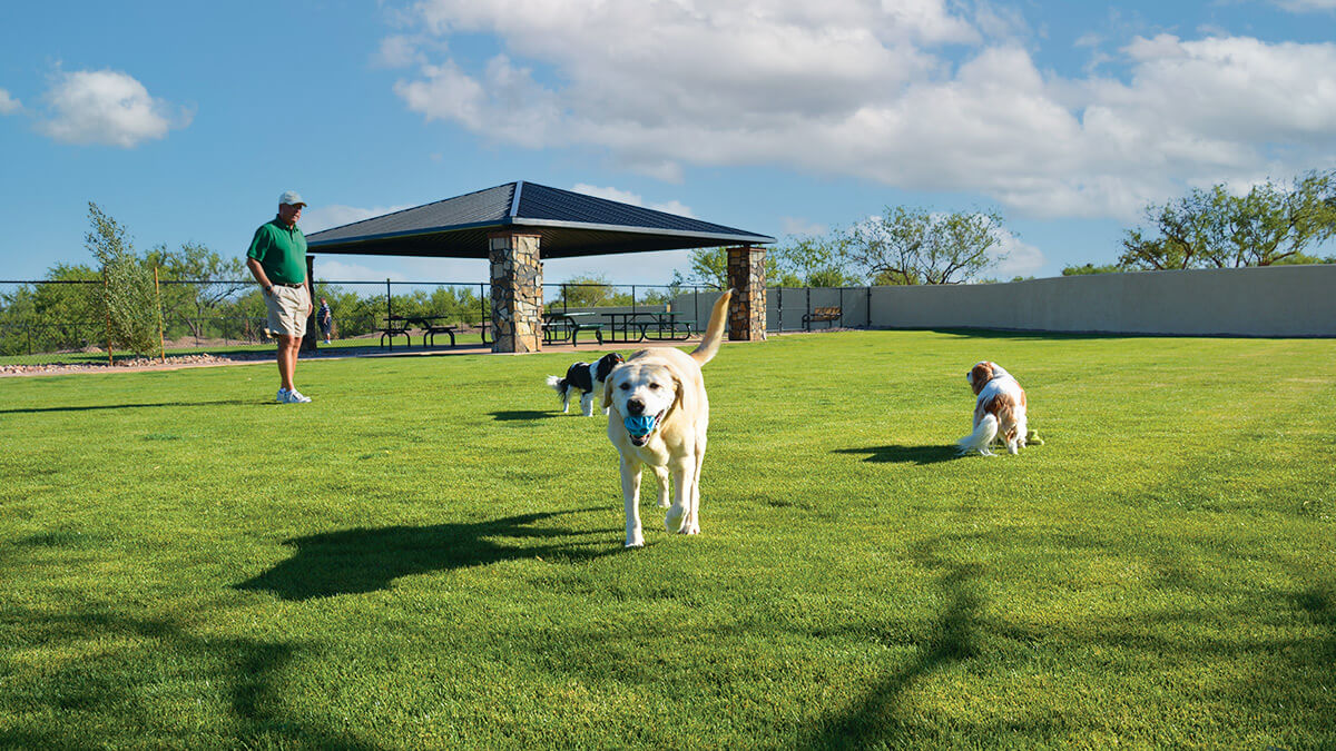 SBR-DogPark2