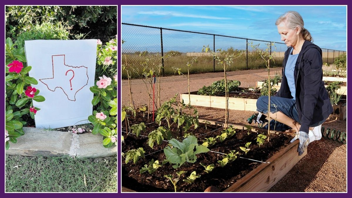Gardening on the windswept prairie at Robson Ranch Texas
