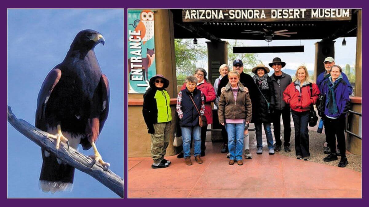 Quail Creek's Let's Go Travel Club visits the Arizona-Sonora Desert Museum