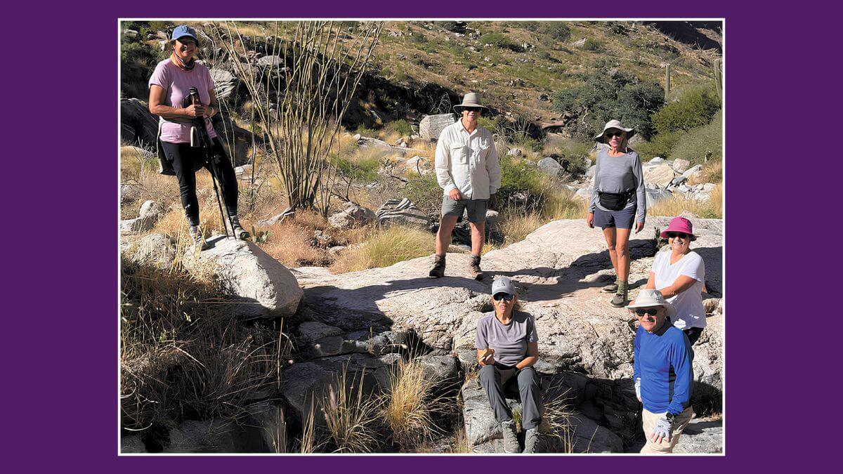 A SaddleBrooke Hiking Club outing to Pima Canyon