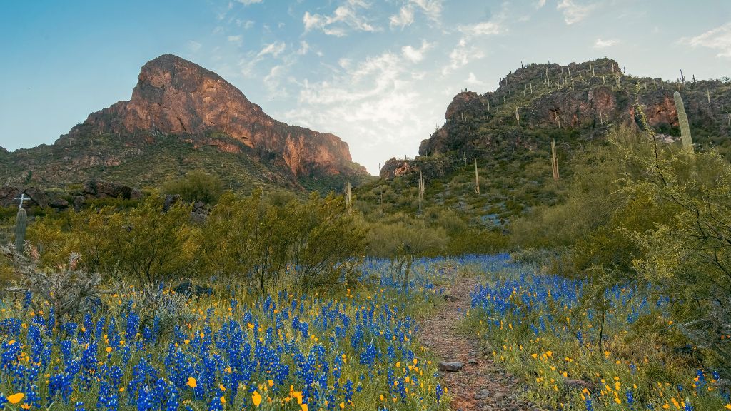 Picacho Peak offers outdoor adventure near Robson Ranch Arizona.